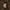 bottle of madeco espresso martini with coffee beans and vanilla beans on a brown background