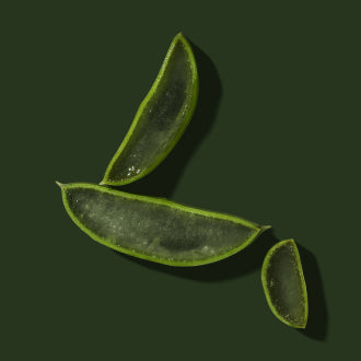 aloe modica superfood ingredient