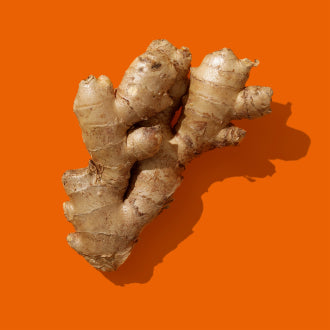 ginger modica superfood ingredient