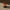 sample pack